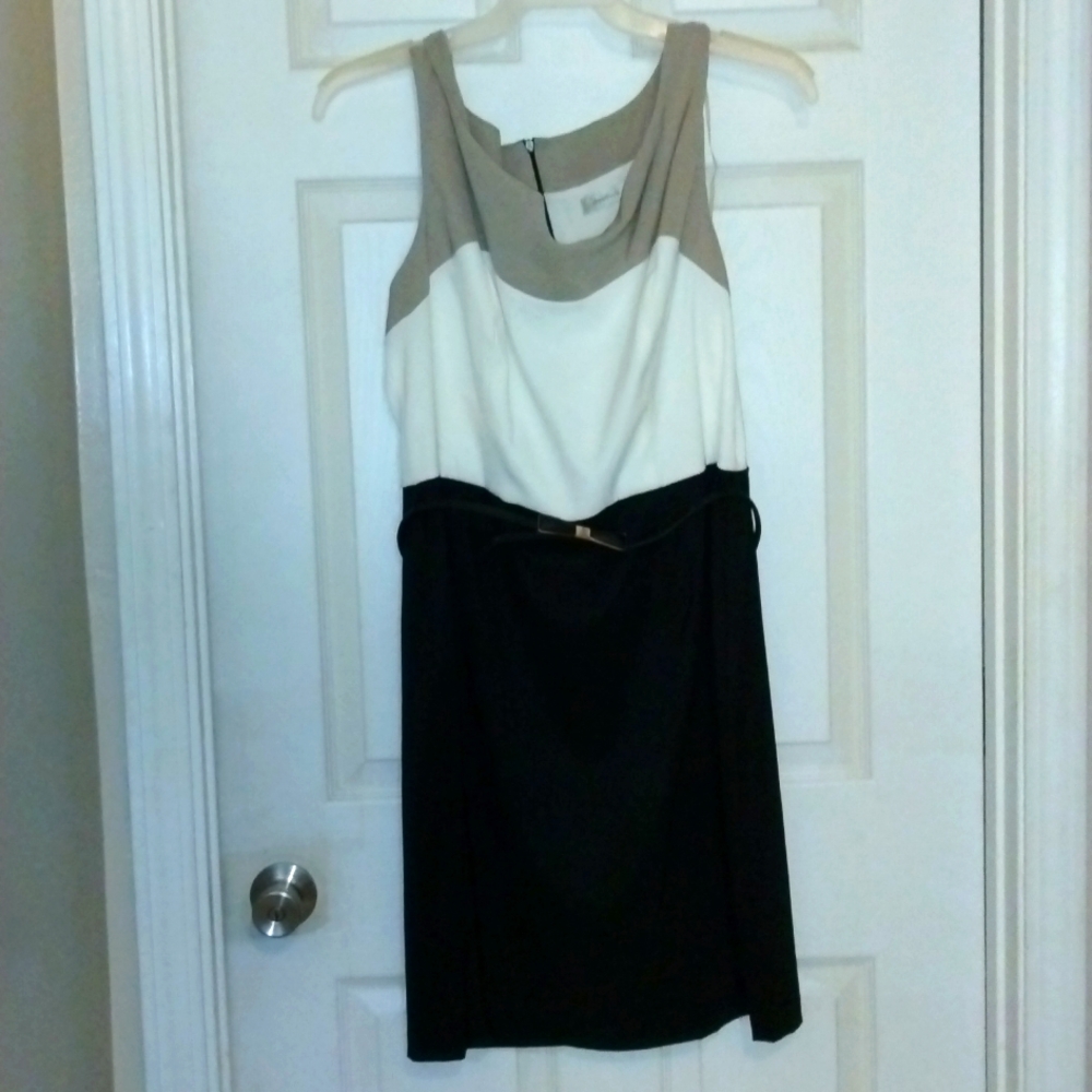 Dressbarn 3 Toned Dress